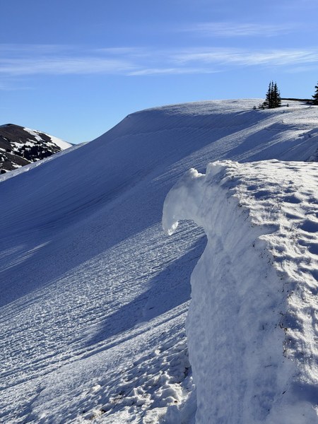 IMG_0808.jpeg IMG_0808.jpeg