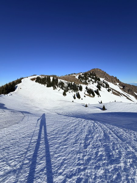 IMG_0822.jpeg IMG_0822.jpeg