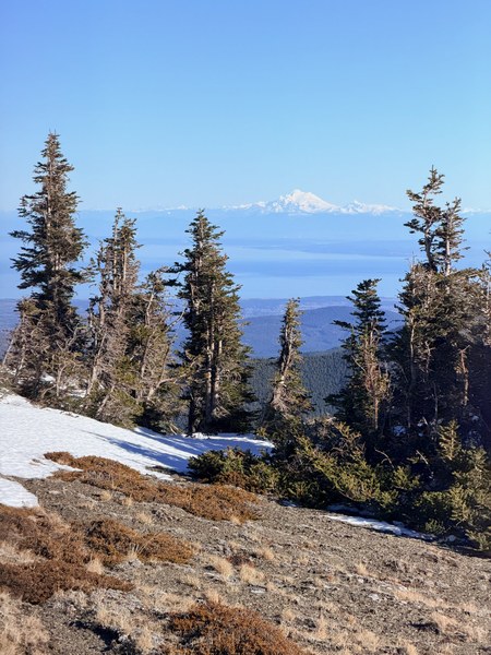 IMG_0840.jpeg IMG_0840.jpeg