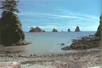 Olympic Coast South: The Wildcatter Coast