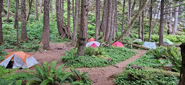 20230625_064118 (1).jpg