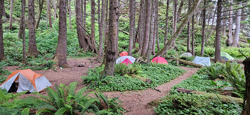 20230625_064118 (1).jpg