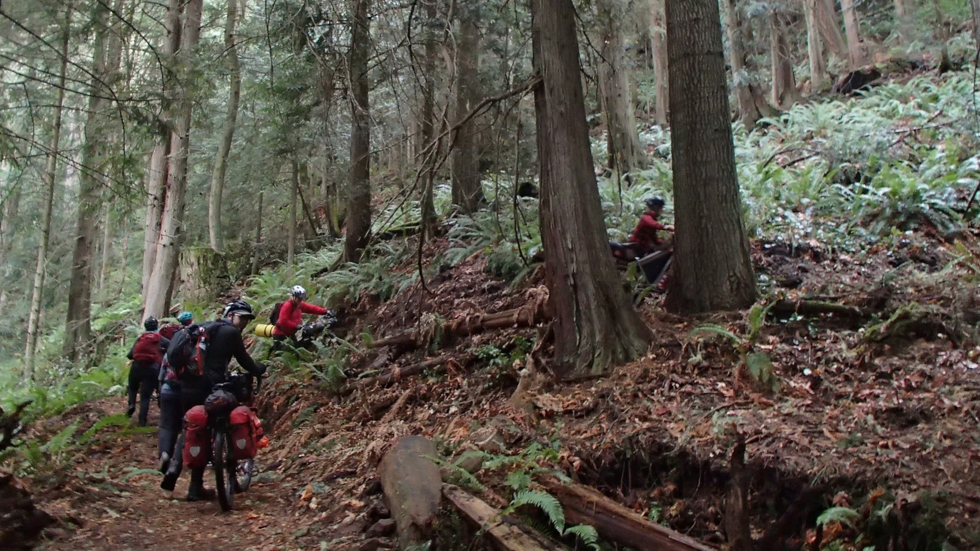 OlympicAdvTrail - 208.jpeg