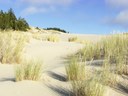 Oregon Dunes National Recreation Area