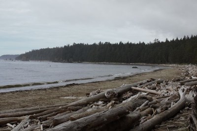 Ozette Triangle