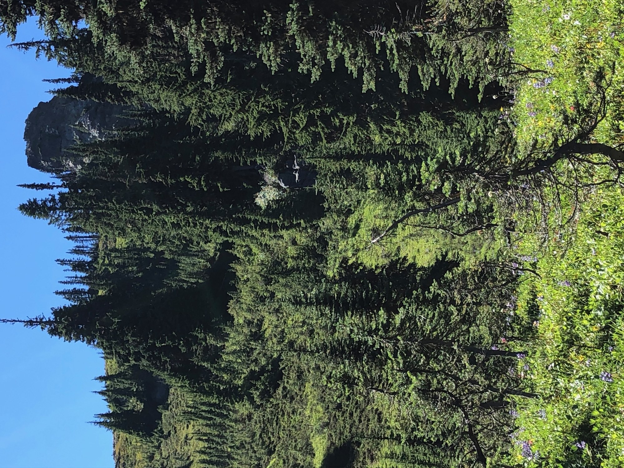 bullion basin hike 2.jpg