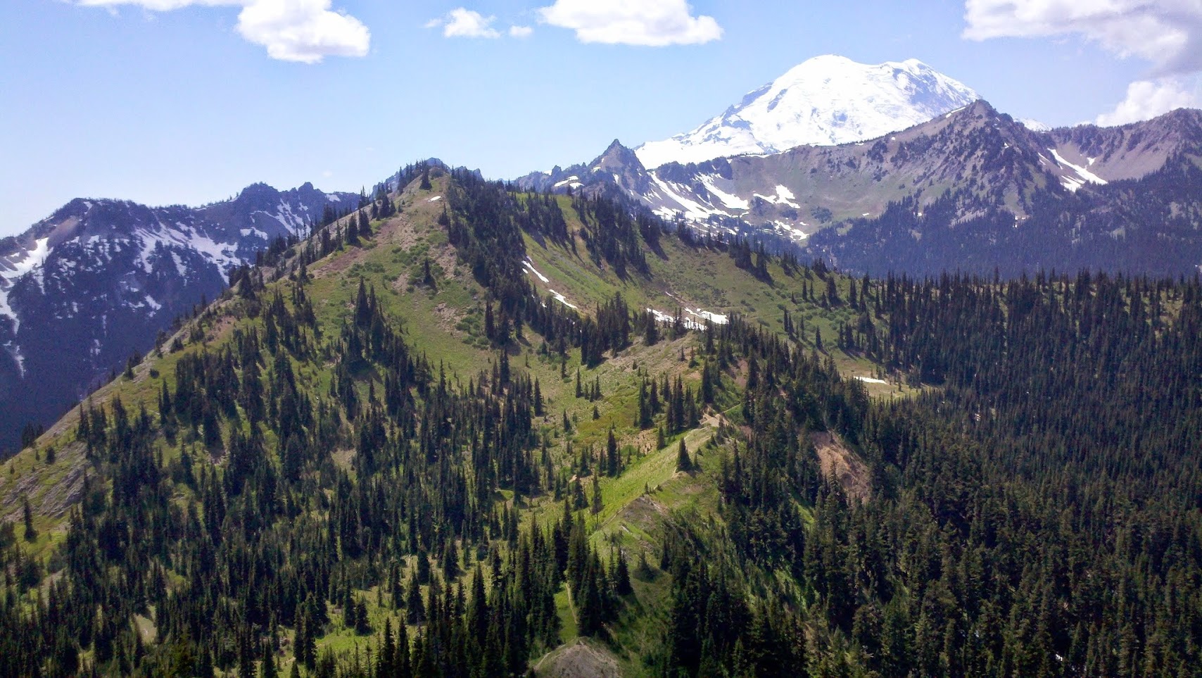 Rainier from Bullion Basin