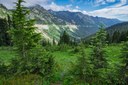 American River Valley from Chinook Pass-Naches Peak Loop-Mt Rainier NP-1335.jpg