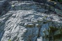 Glacier scrapped Rocks-Naches Peak Loop-Mt Rainier NP-1613.jpg