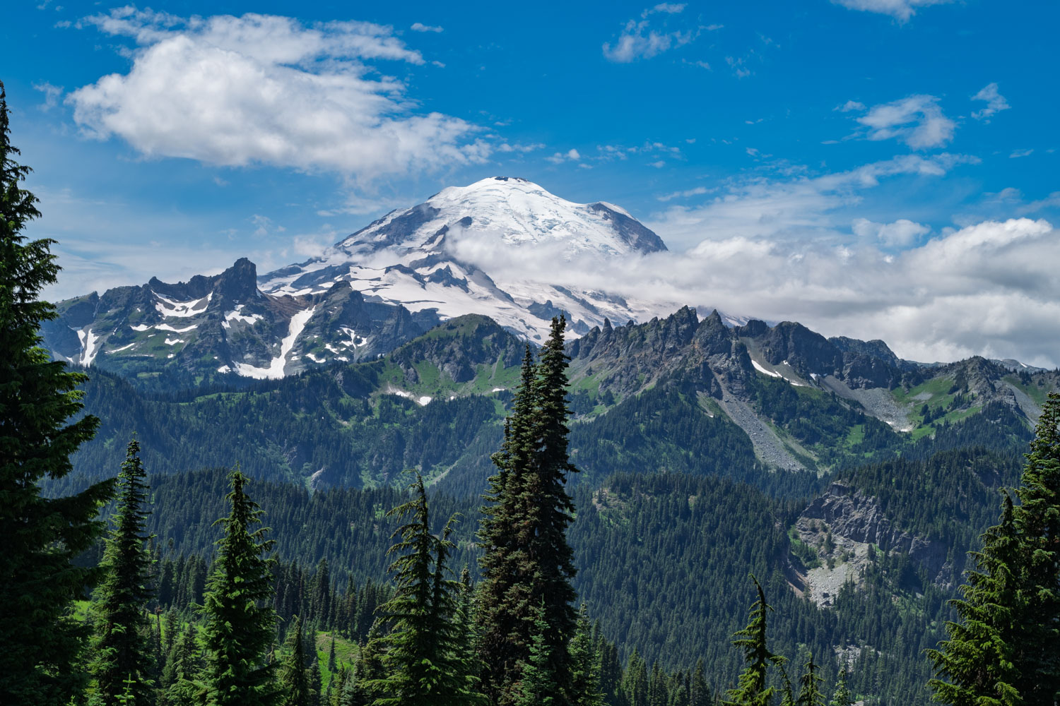 Mount Rainier and Cowlitz Chimneys-Naches Peak Loop-Mt Rainier NP-0042.jpg