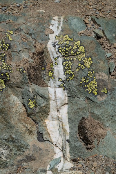 Quartz Vein-Naches Peak Loop-Mt Rainier NP-1663.jpg