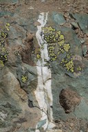 Quartz Vein-Naches Peak Loop-Mt Rainier NP-1663.jpg