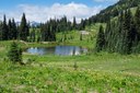 Small Tarn-Naches Peak Loop-Mt Rainier NP-1666.jpg