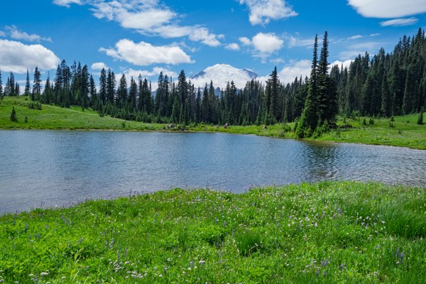 Tipsoo Lake & Mt Rainier-Naches Peak Loop-Mt Rainier NP-0074.jpg
