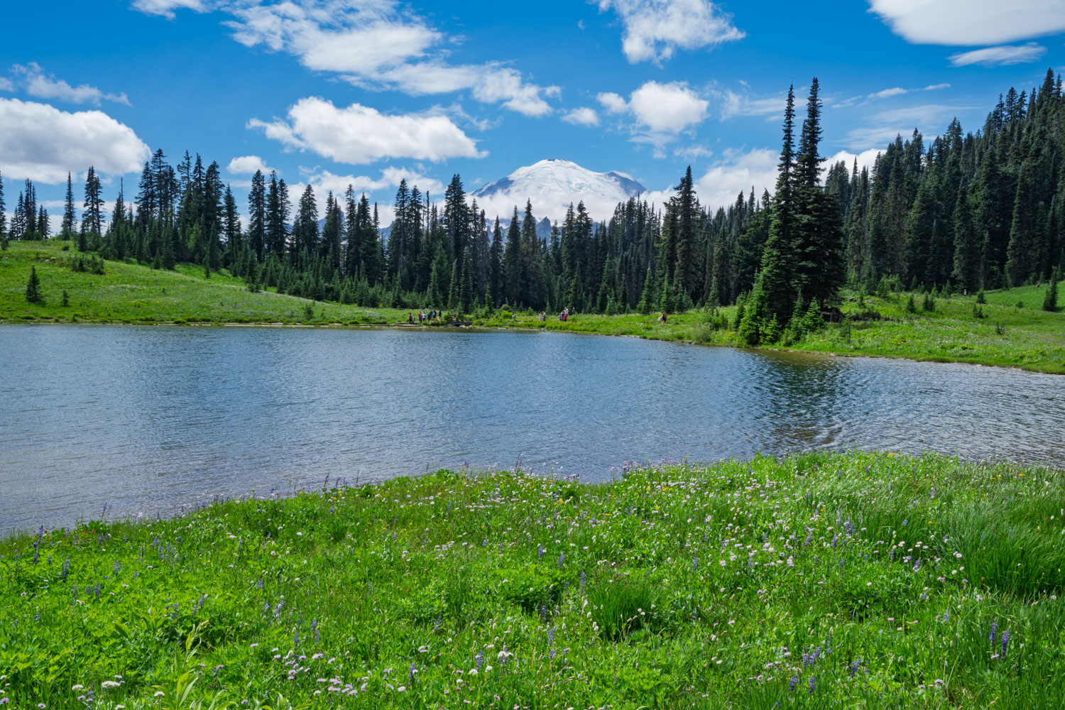 Tipsoo Lake & Mt Rainier-Naches Peak Loop-Mt Rainier NP-0074.jpg