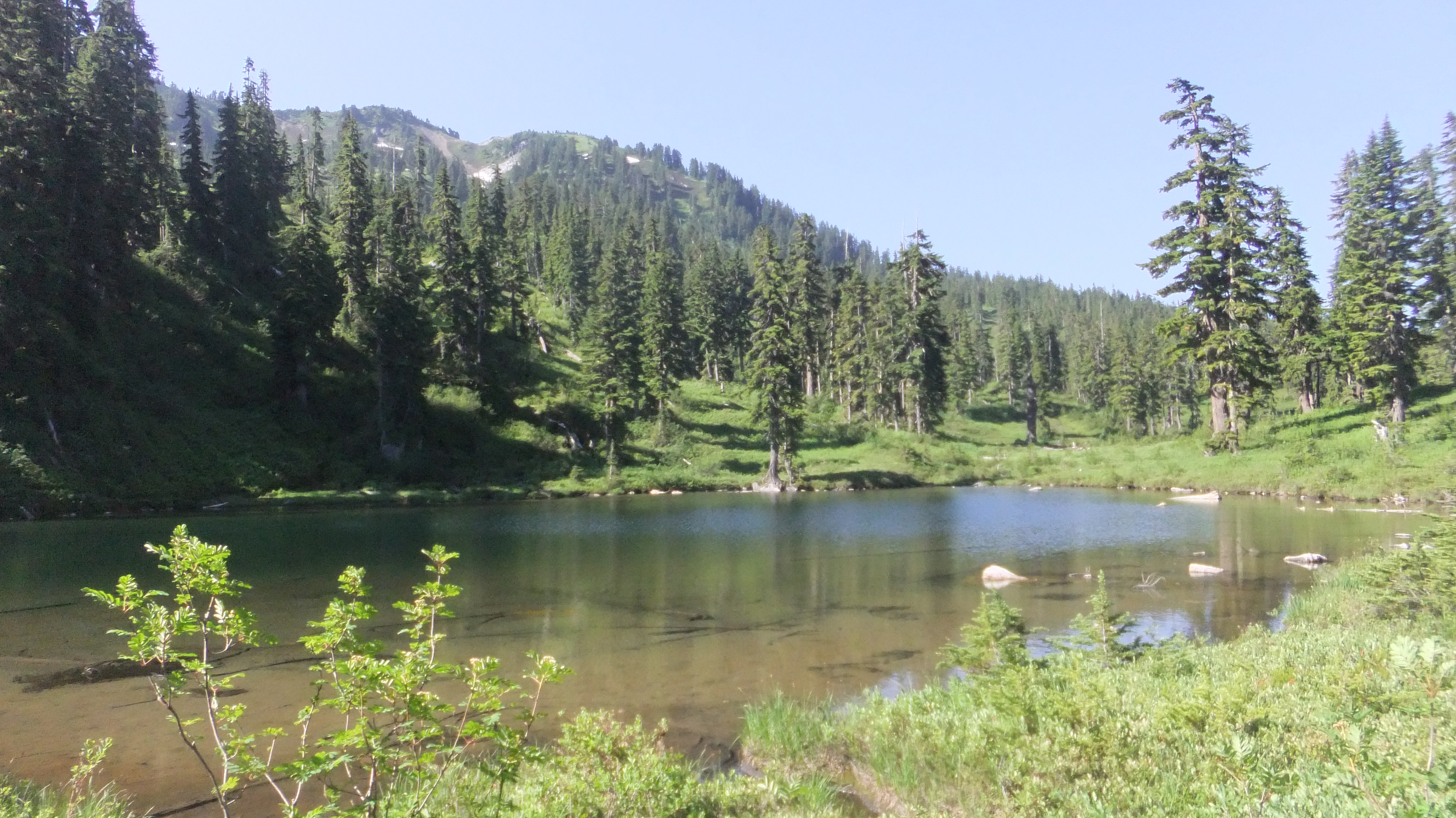 Meadow Creek to Fortune Ponds and Pear Lake — The Mountaineers