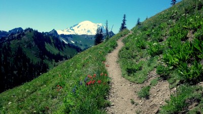 Pacific Crest Trail:  Chinook Pass to Norse Peak