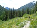 Pacific Crest Trail: Rainy Pass to Suiattle River