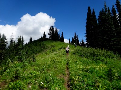 Pacific Crest Trail: Stevens Pass to White Pass