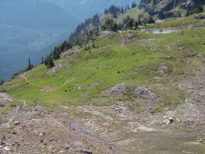 Pacific Crest Trail: White Pass to Walupt Lake