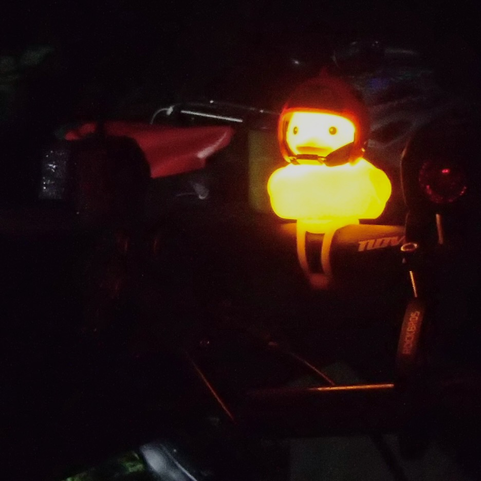 Mountaineers_Moonlight_23-10 - 1.jpeg