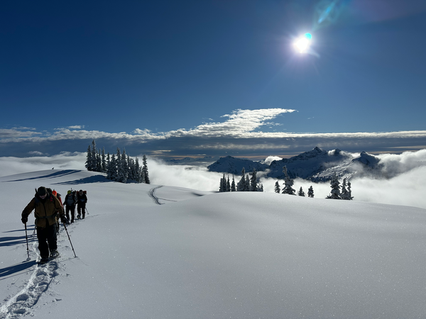 IMG_9905.png IMG_9905.png