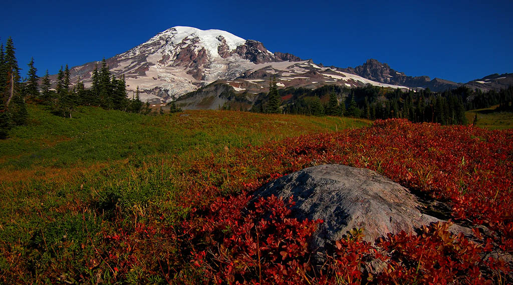 Mt. Rainier from Mazama Ridge