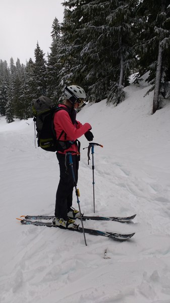 Bonnie keeps us oriented