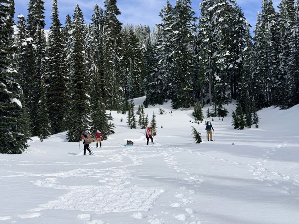 IMG_1396.jpeg IMG_1396.jpeg