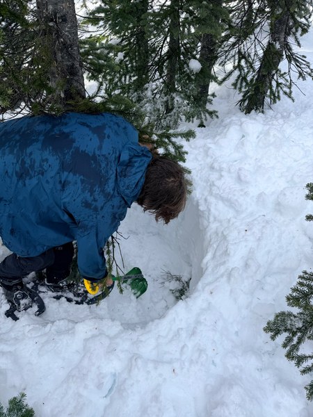 IMG_1411.jpeg IMG_1411.jpeg