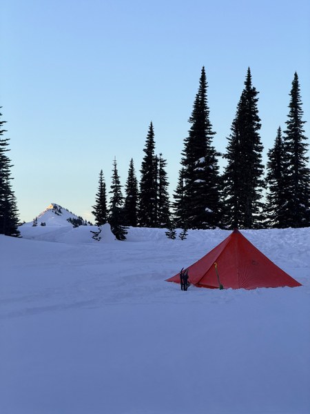 IMG_1462.jpeg IMG_1462.jpeg