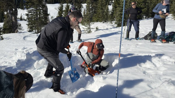 IMG_7649.jpeg IMG_7649.jpeg