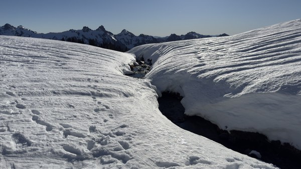 IMG_7654 2.jpeg IMG_7654 2.jpeg