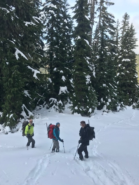 Elizabeth descent.jpg