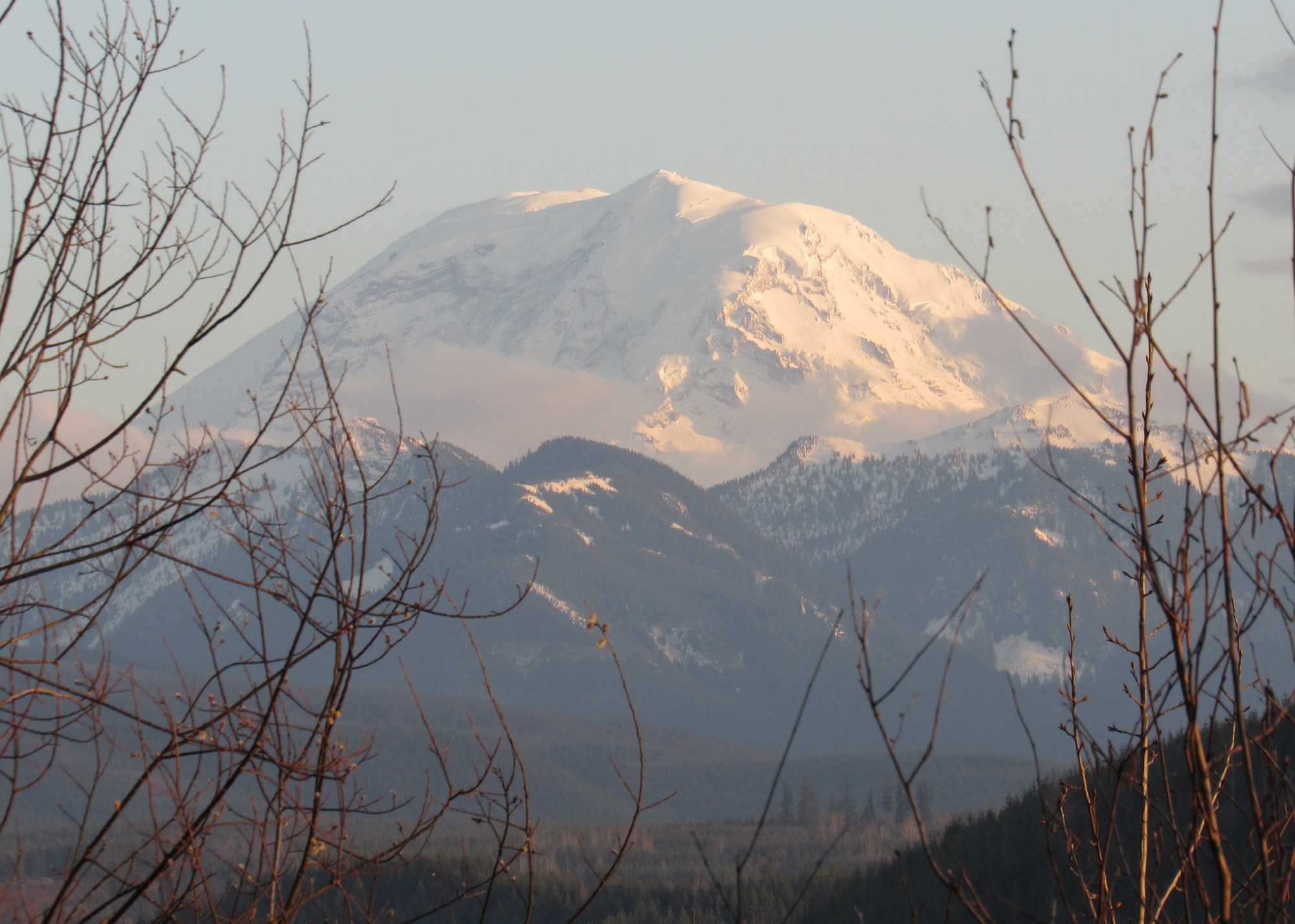 IMG_3590Rainier.jpg