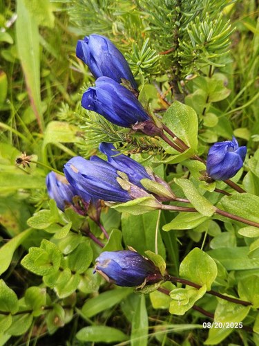 20250820_102640 (Medium).jpg