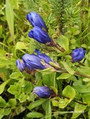 20250820_102640 (Medium).jpg