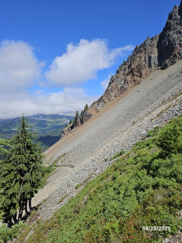 20250820_PinnacleSaddle trail (Large).jpg