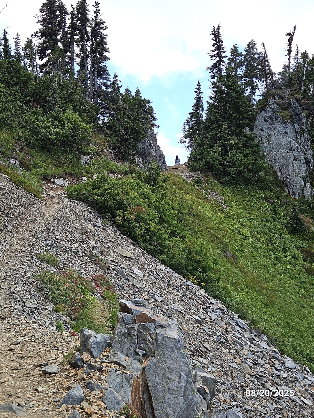 20250820_PinnacleSaddle2 (Large).jpg