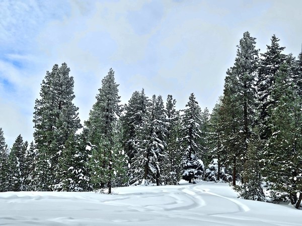 20240120_Road Junction.jpg