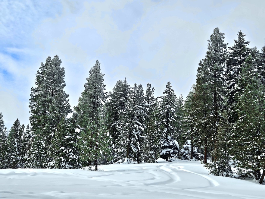 20240120_Road Junction.jpg