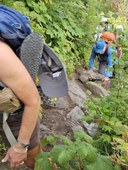 20250829_120616 (Medium).jpg