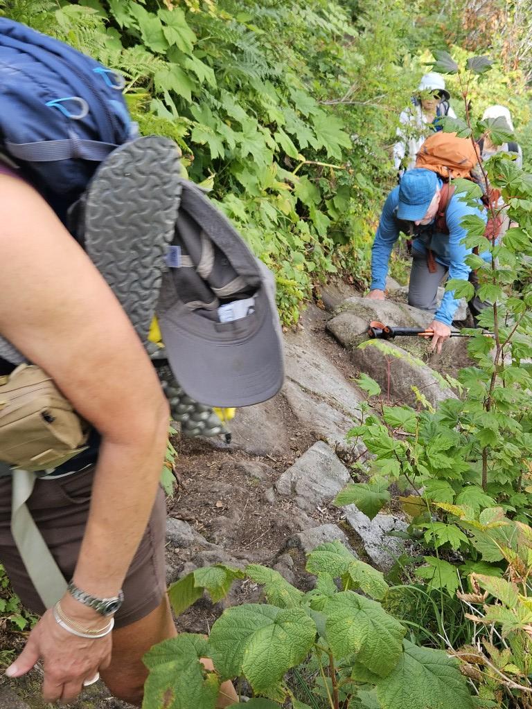 20250829_120616 (Medium).jpg