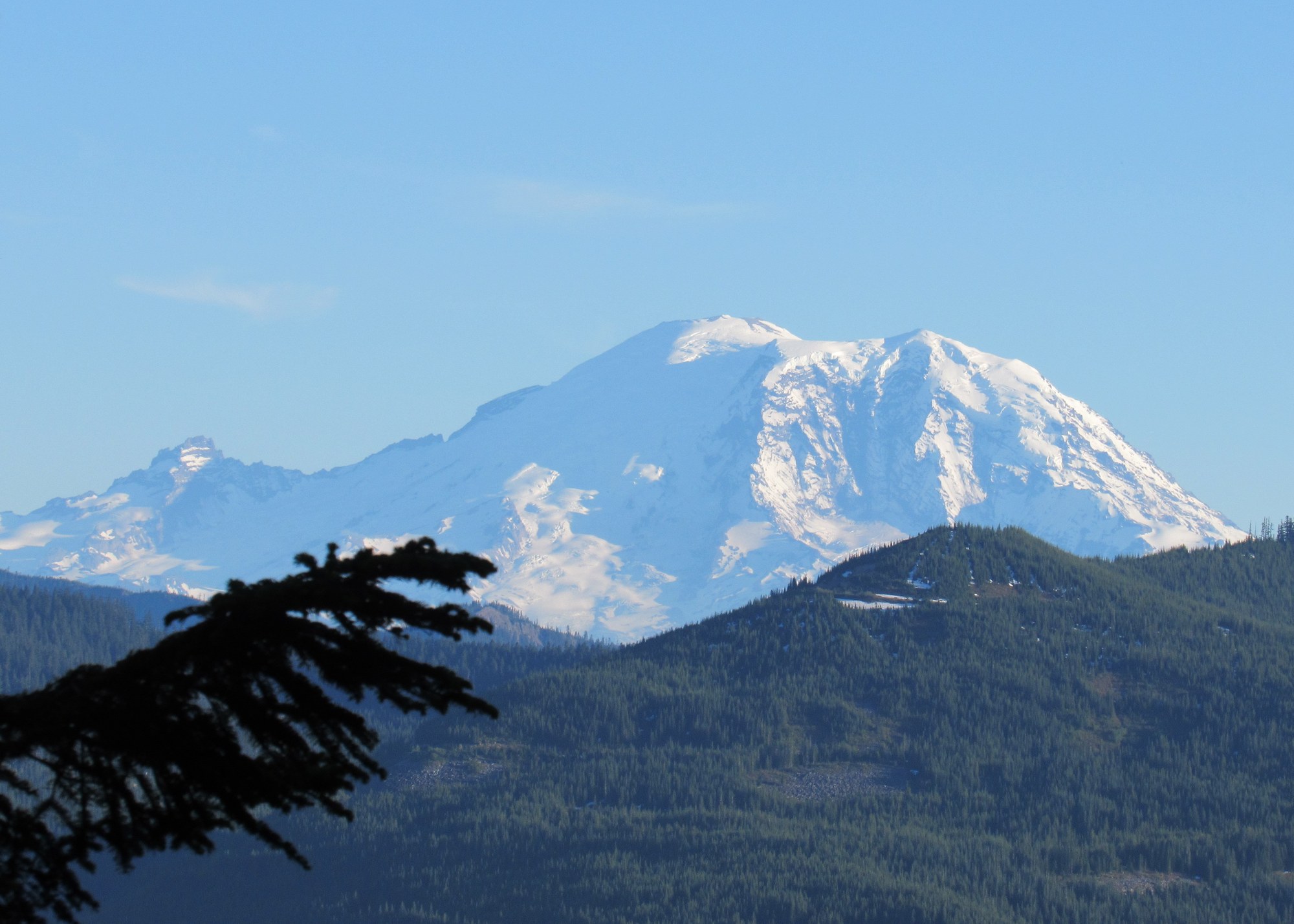 IMG_4083Rainier.jpg