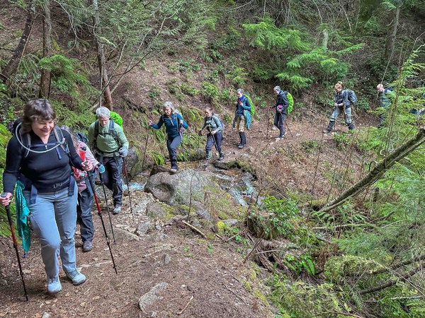 Streams galore untitled-2.jpg