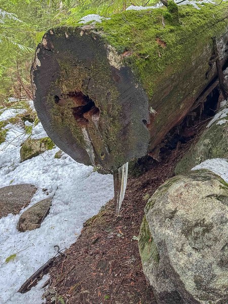 Mega icicle untitled-5.jpg