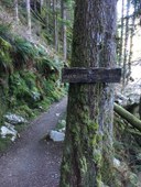 Pratt River Connector & CCC Trails