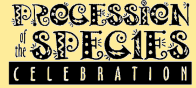 Screen Shot 2019-03-14 at 9.49.15 AM.png