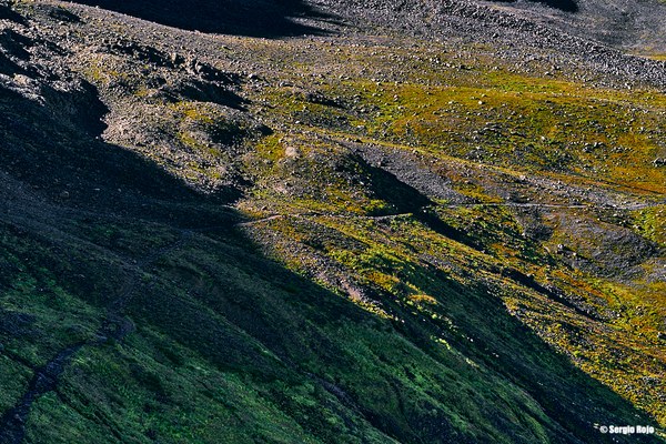 _DSC8077Ptarmigan.Trail..jpg