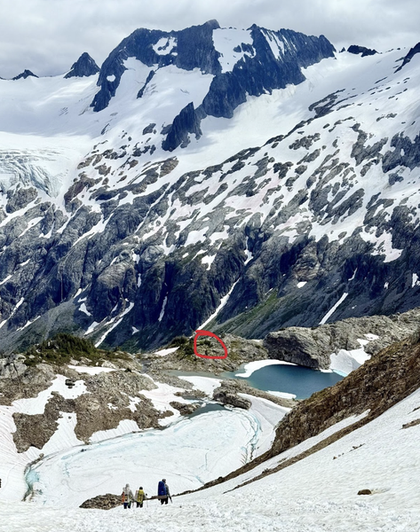 Screenshot 2025-07-11 at 4.19.38 PM.png